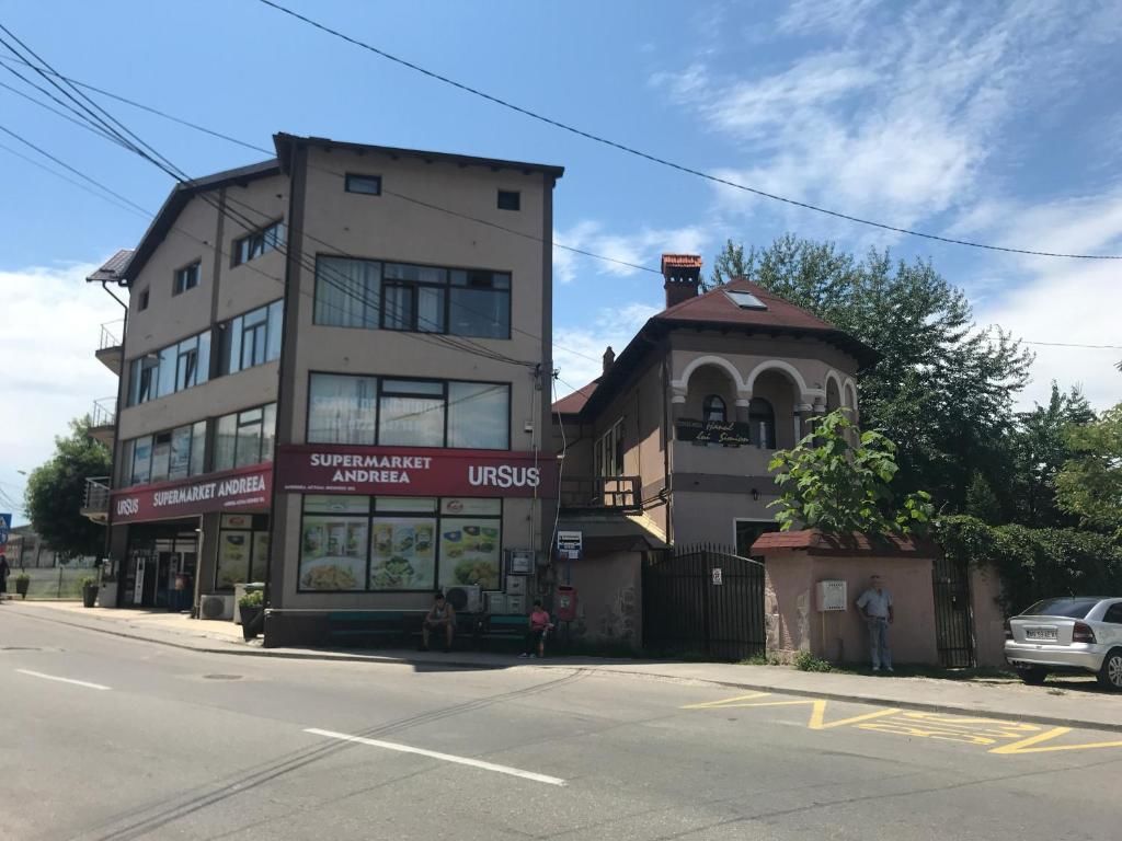 Виллы Nice mansion Куртя-де-Арджеш-54